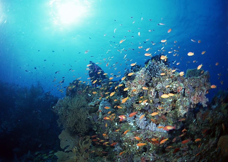 潛水有無(wú)身體條件和年齡限制？