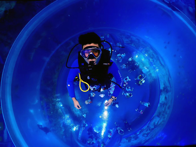 你的百潛是不是白潛了？