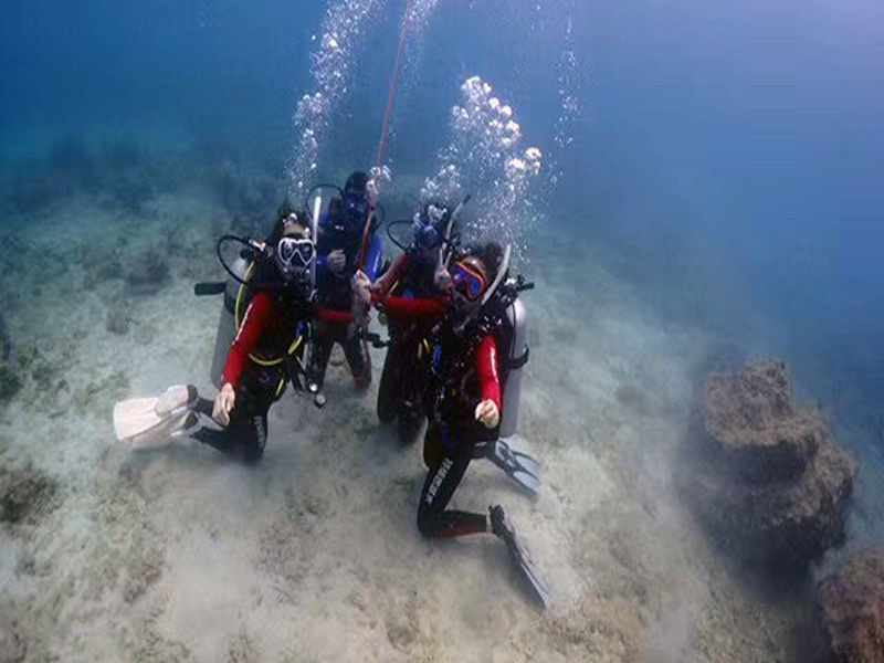 你的百潛是不是白潛了？