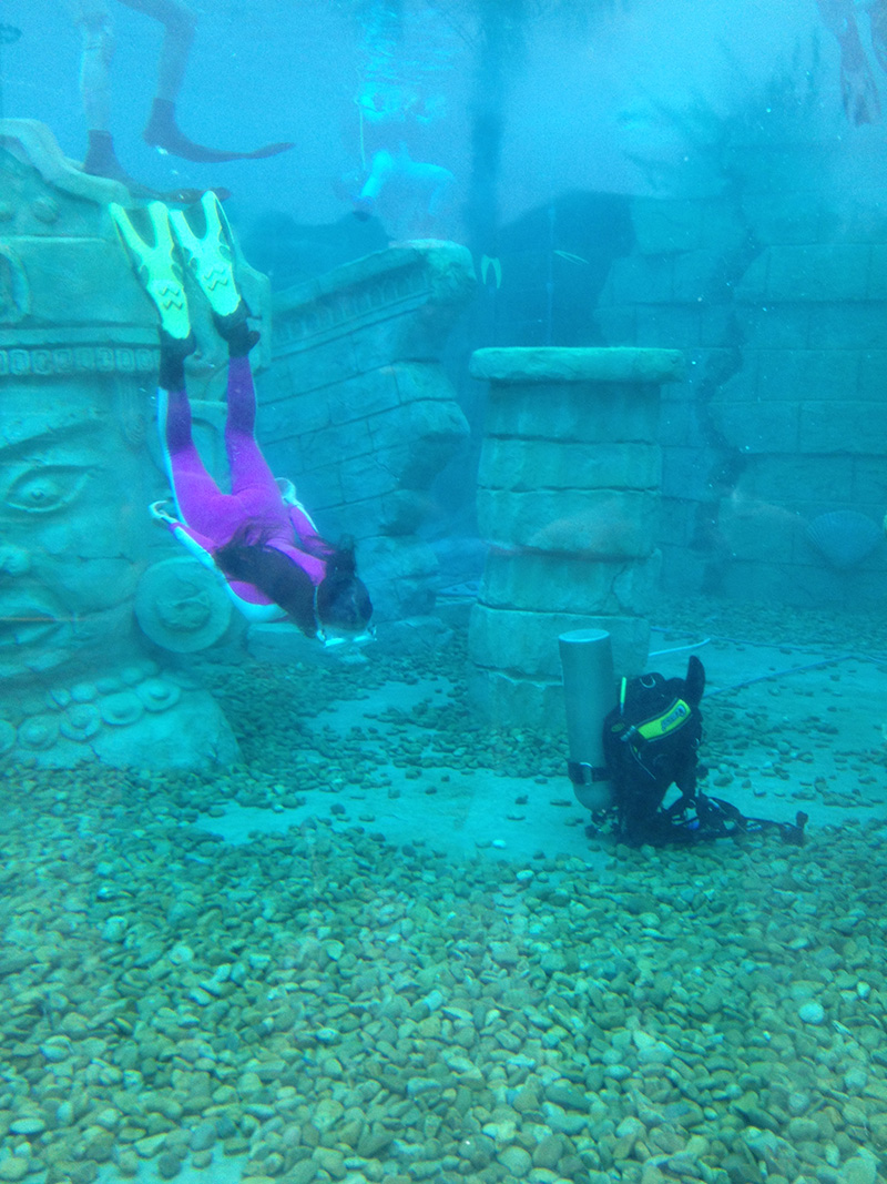 活到老學到老-記小毅教練的自由潛職業(yè)生涯