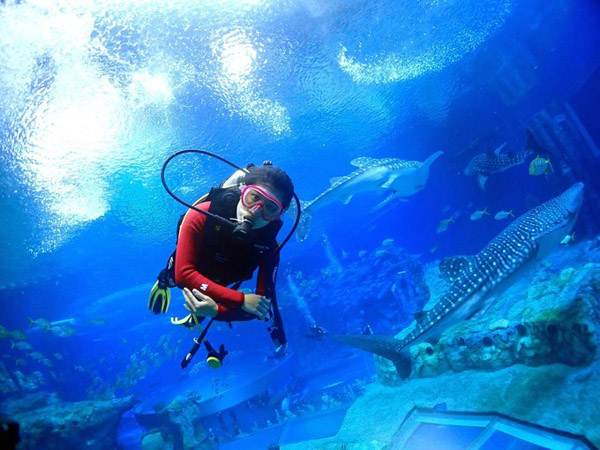 潛在水里，學(xué)做一條靜靜的魚(yú)