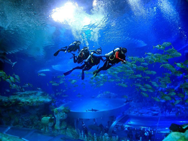 潛在水里，學(xué)做一條靜靜的魚(yú)