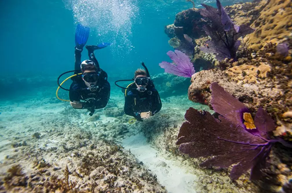 【水肺潛水安全嗎？】轉(zhuǎn)自PADI