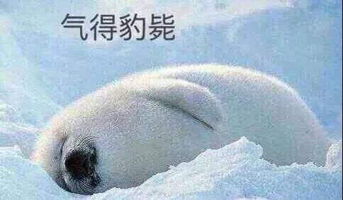 原來你是這樣的潛水員妹子！