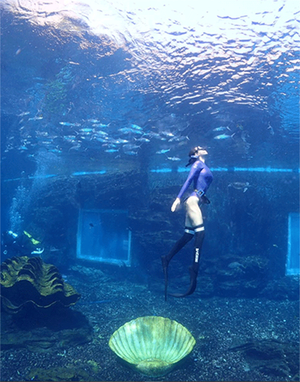 潛水常見(jiàn)問(wèn)題，原來(lái)潛水沒(méi)你想的那么難