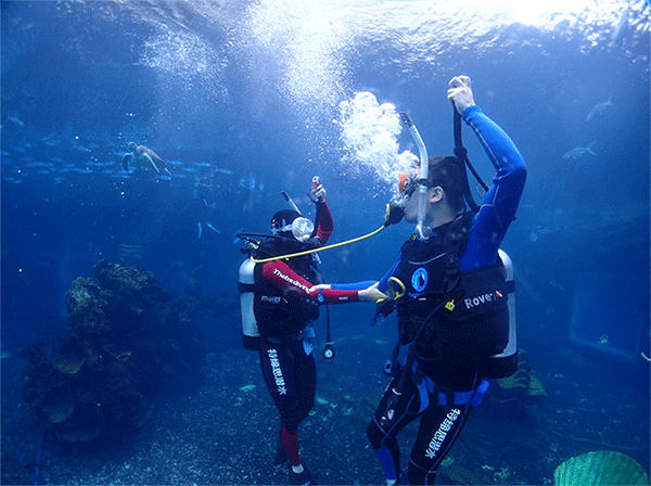 潛水常見(jiàn)問(wèn)題，原來(lái)潛水沒(méi)你想的那么難