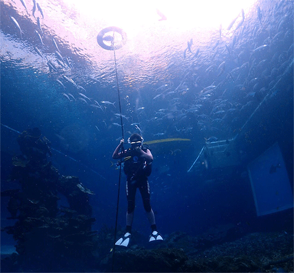 潛水常見(jiàn)問(wèn)題，原來(lái)潛水沒(méi)你想的那么難
