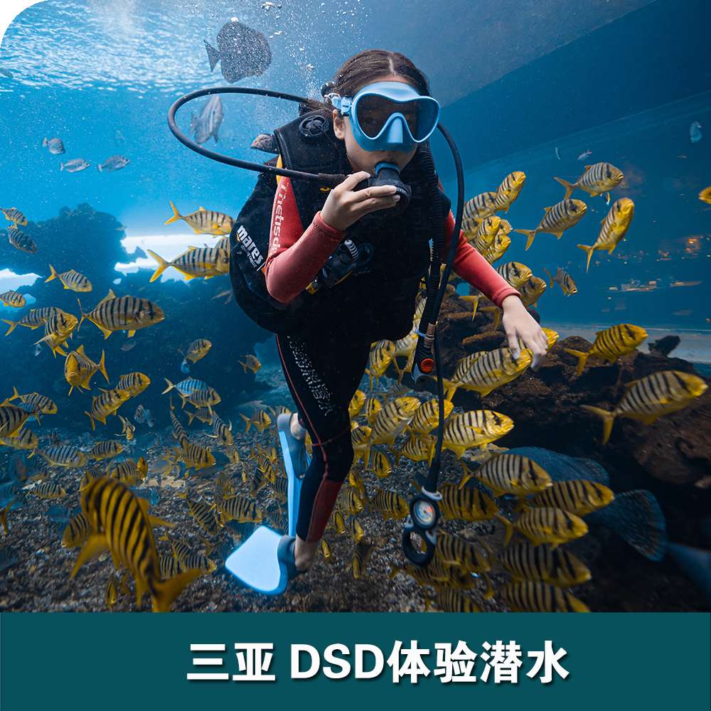 三亞洲際酒店DSD體驗潛水