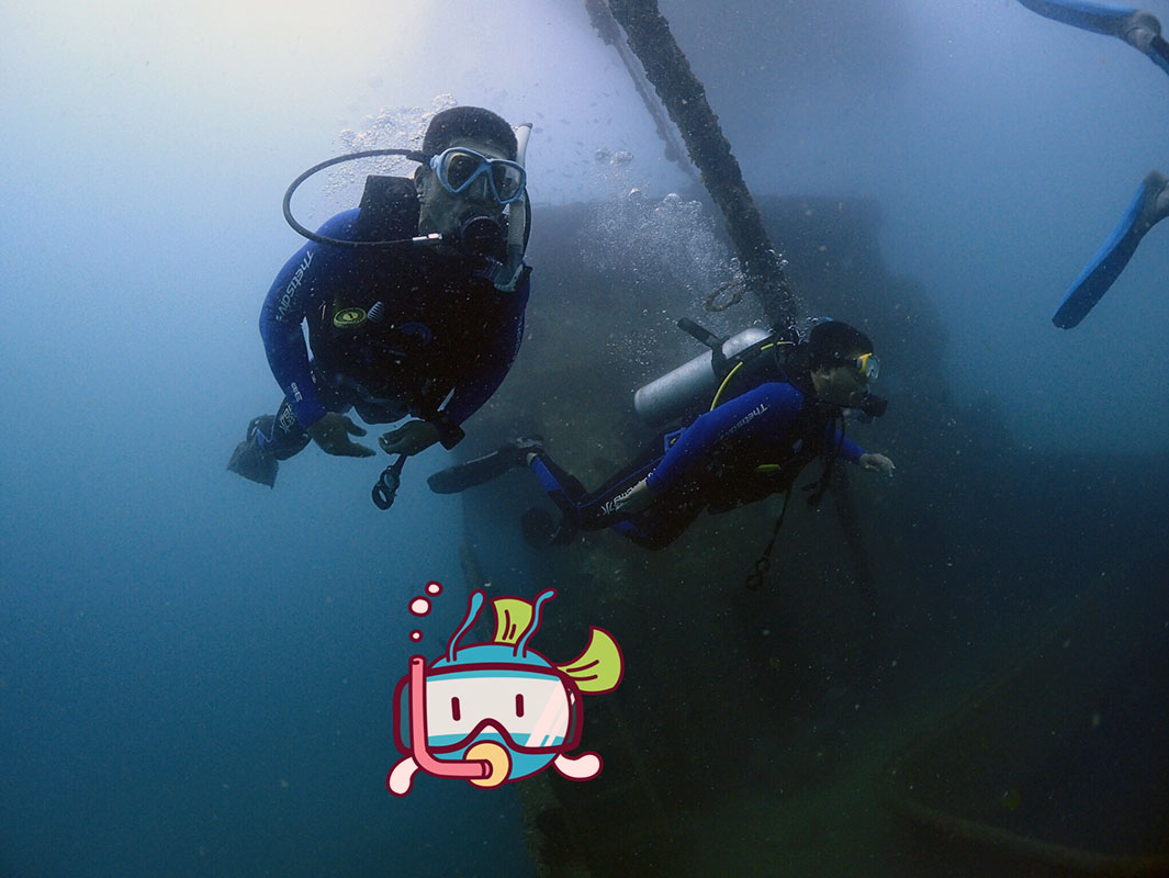 除了俯瞰大地的飛翔，還有潛入海底的翱翔。