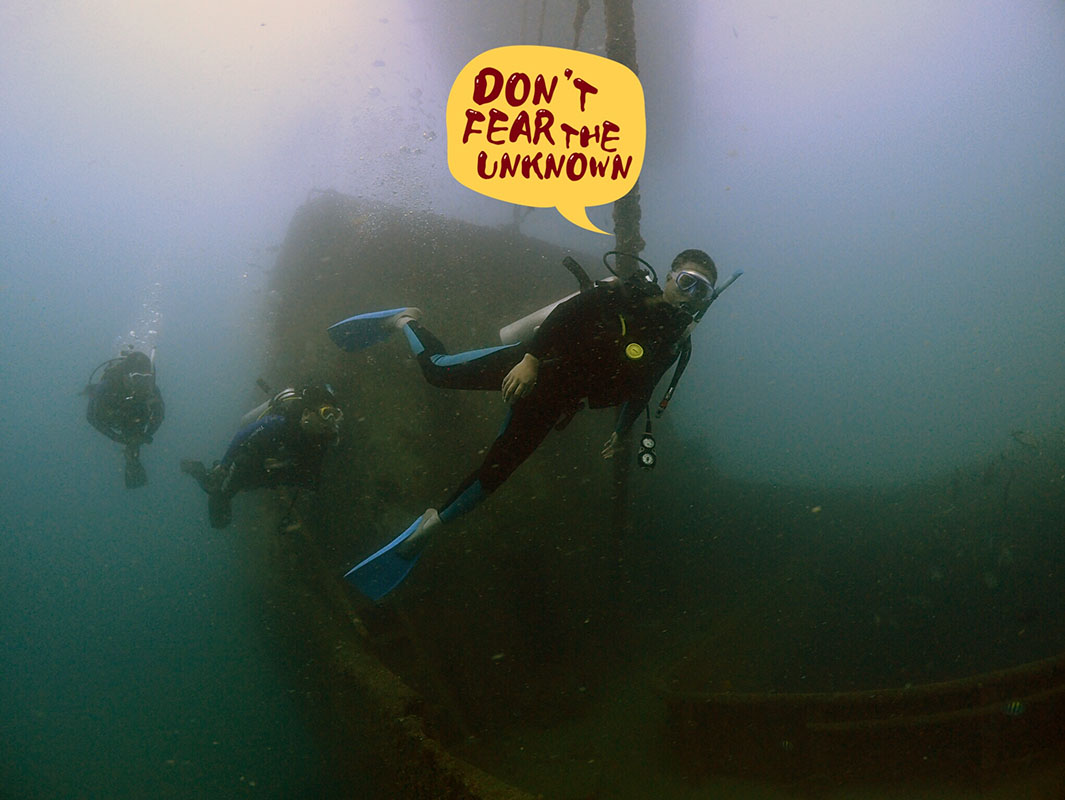除了俯瞰大地的飛翔，還有潛入海底的翱翔。