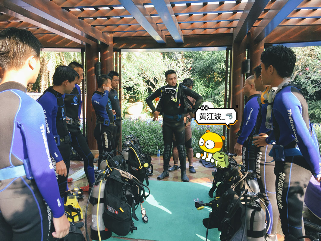 除了俯瞰大地的飛翔，還有潛入海底的翱翔。