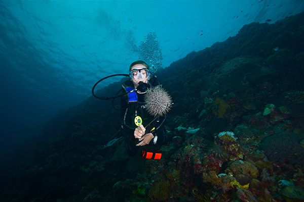 什么是耳壓平衡？
